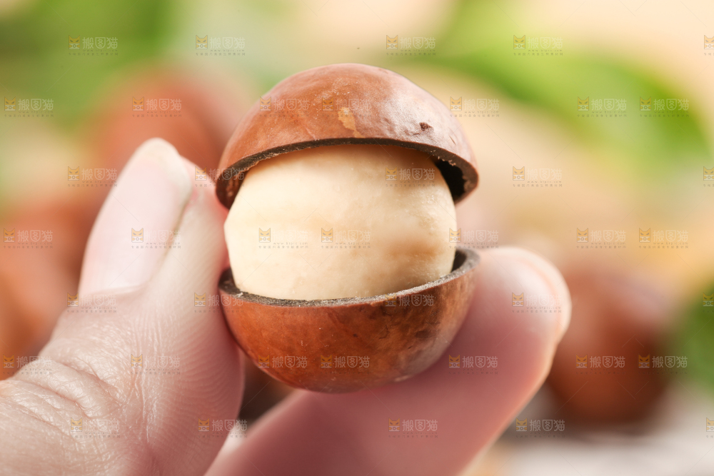 手拿夏威夷果