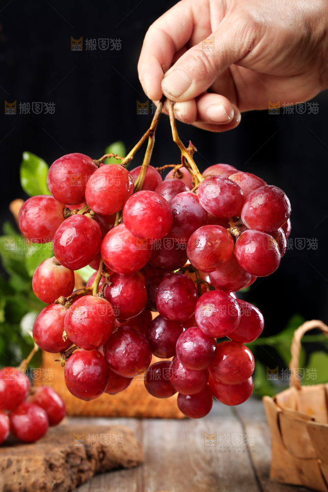 手拿新鲜红提