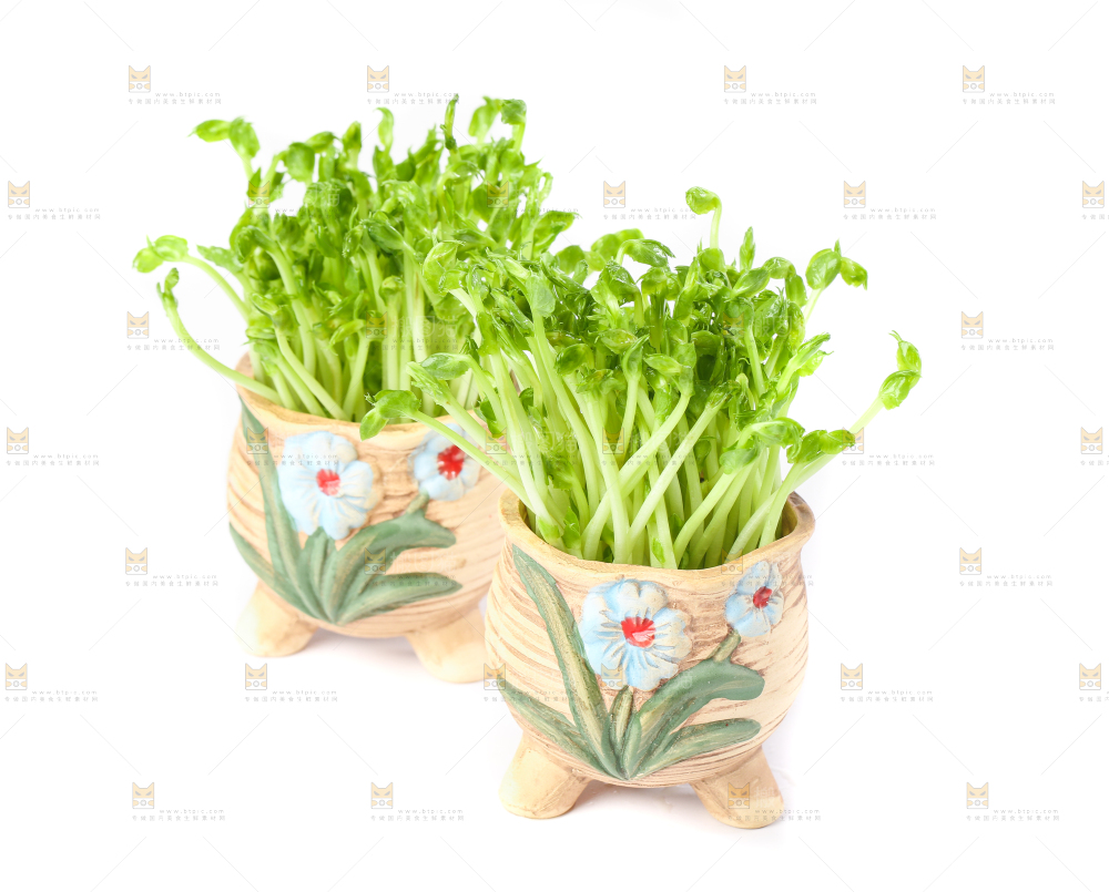 白底上放着豌豆芽菜