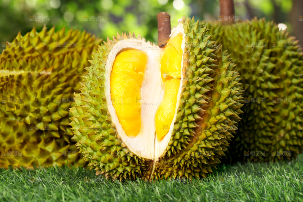 草地上摆放着甲仑榴莲