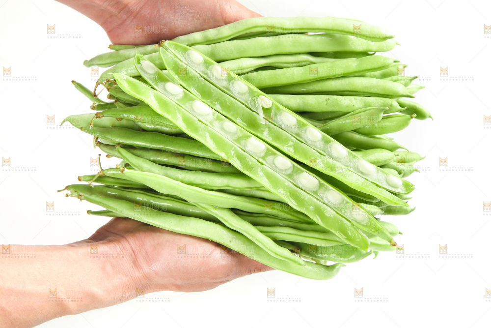 手里拿着鲜嫩四季豆