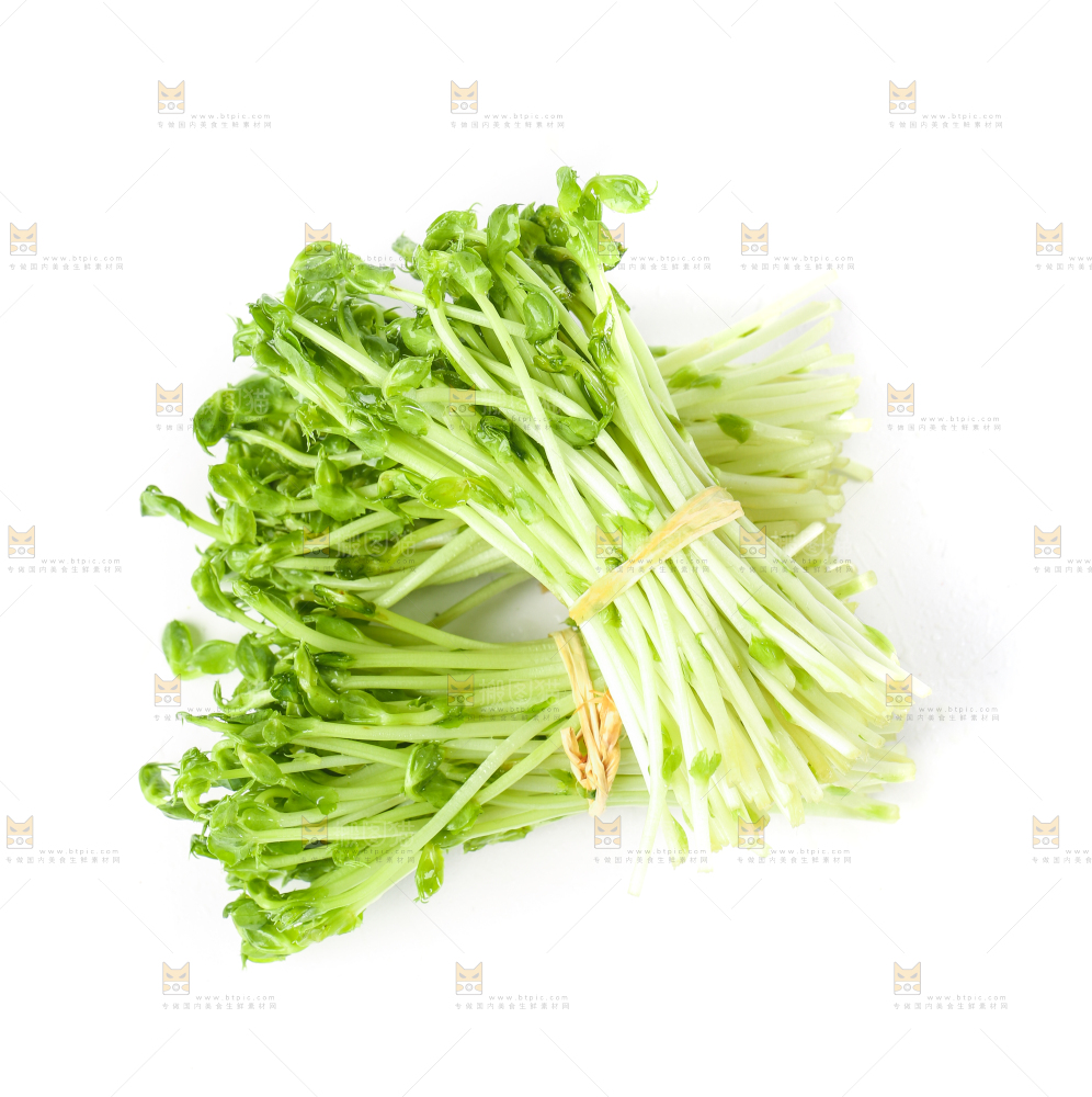 白底上放着豌豆芽菜