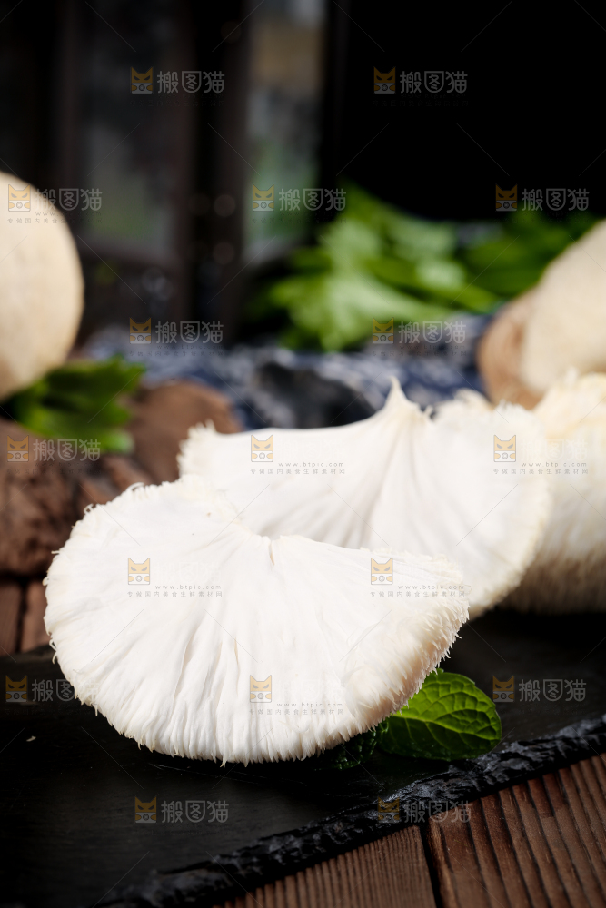 黑底上的猴头菇