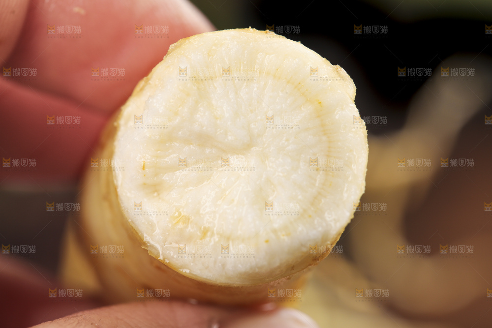 手拿切开的人参