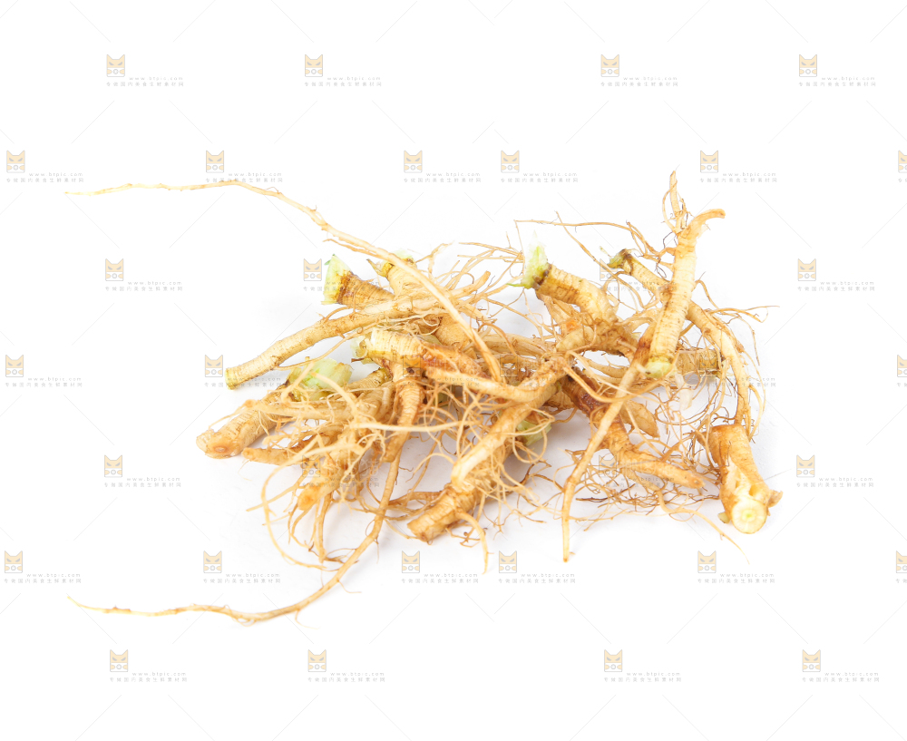 白底上的香菜根