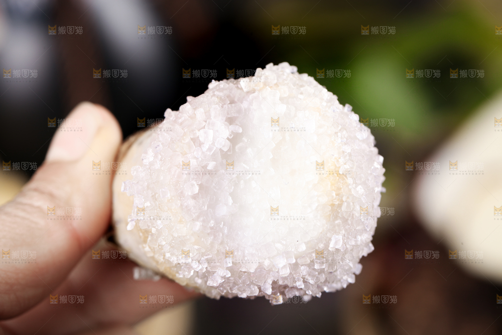 手里拿着新鲜小芋头
