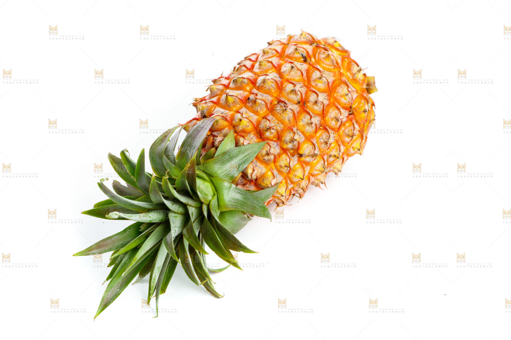 白底上的海南金钻凤梨