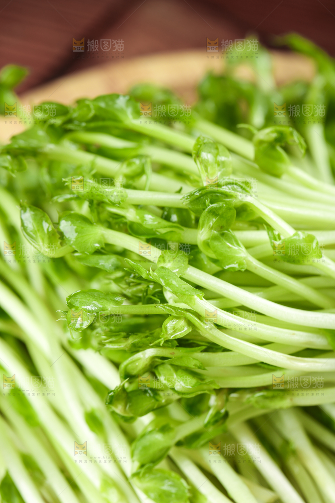 篮子里装着豆苗菜