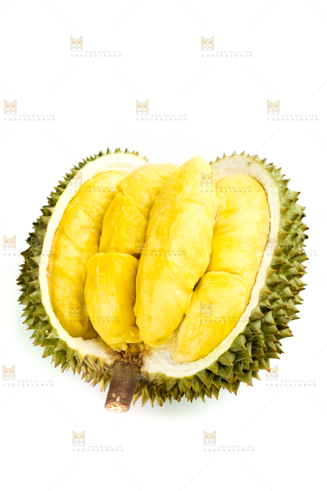 白底上摆放着甲仑榴莲