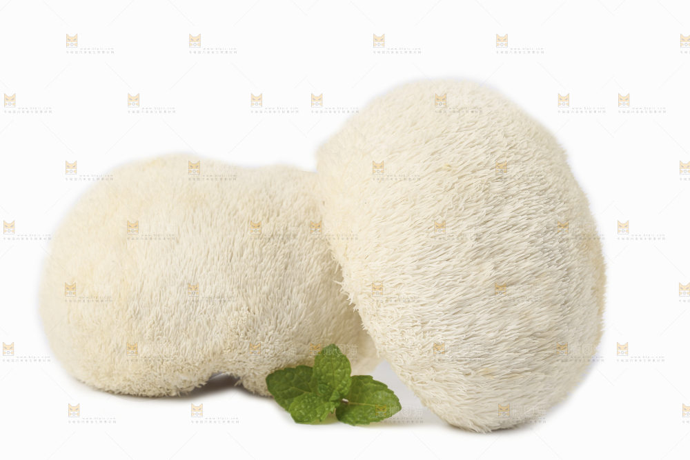 白底上放着东北山猴头菇