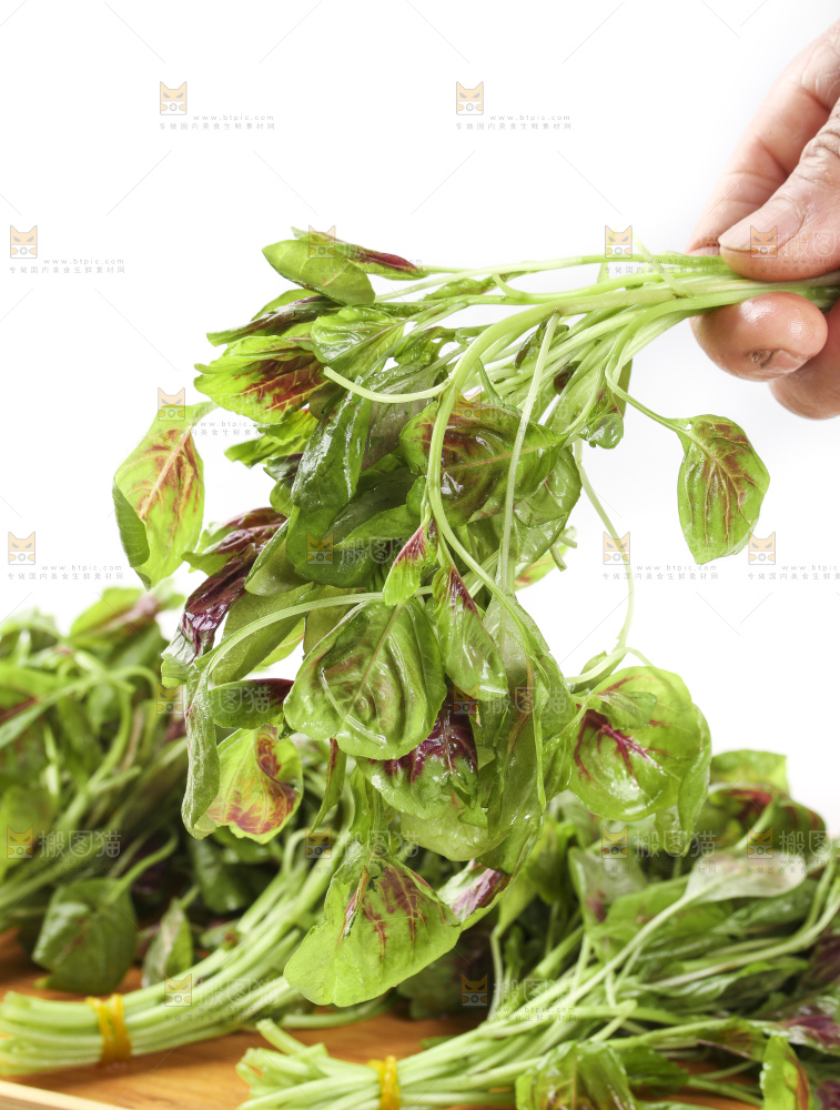 手拿红苋菜