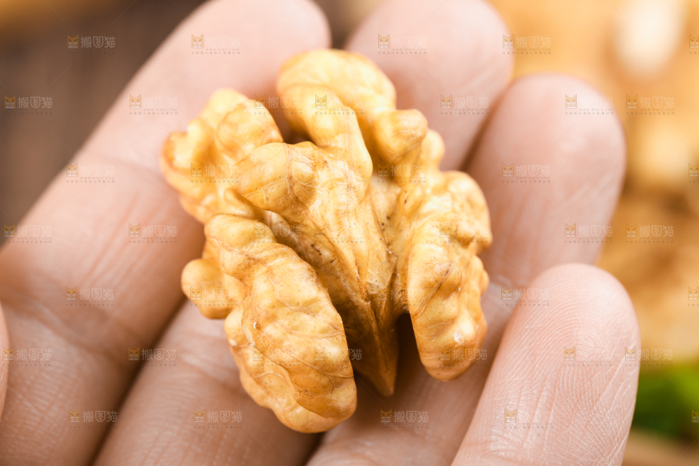 核桃