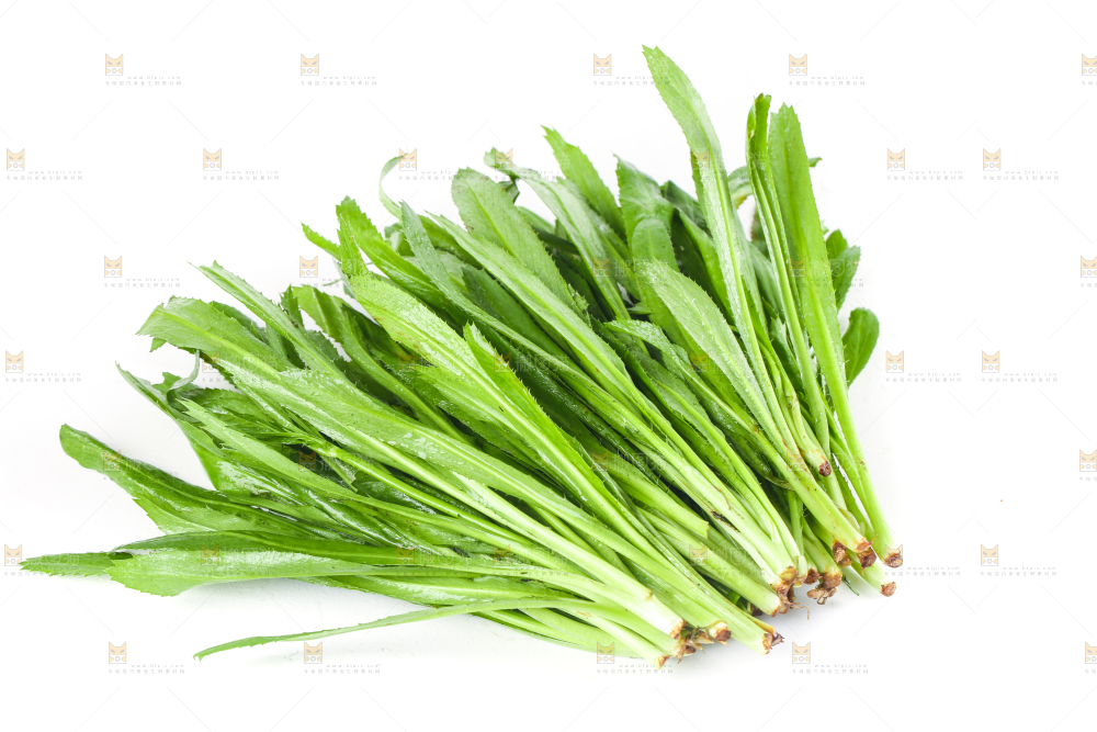 白底上的大香菜