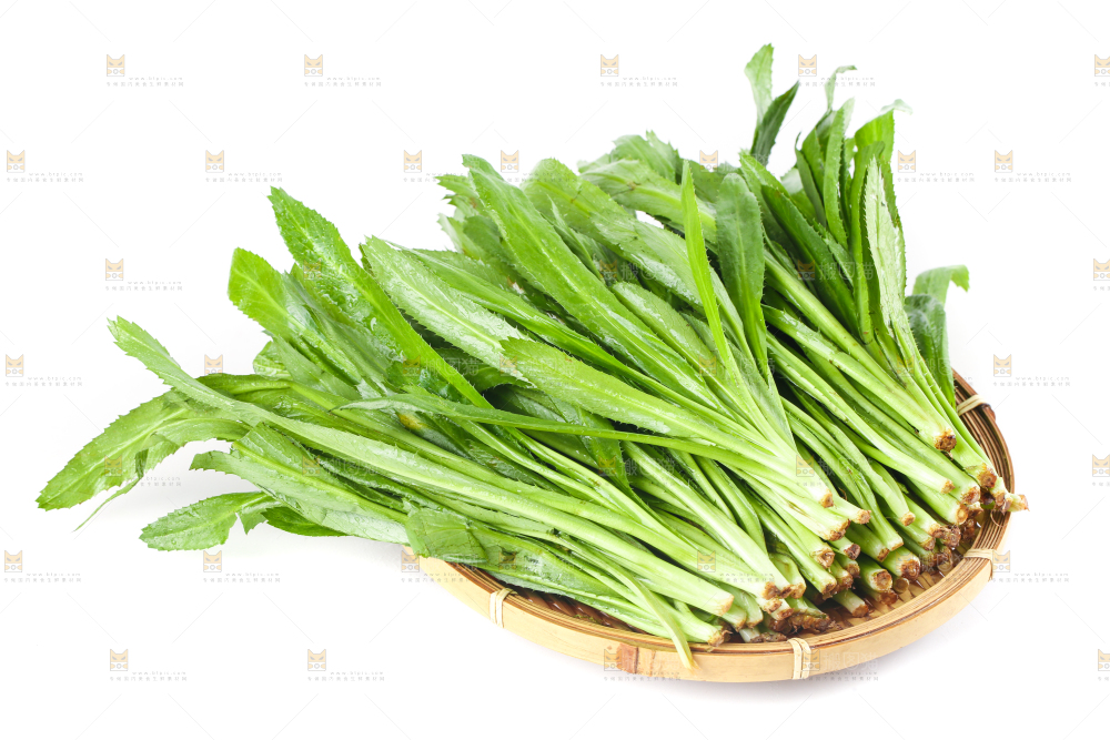 一盘云南大香菜放在白底上