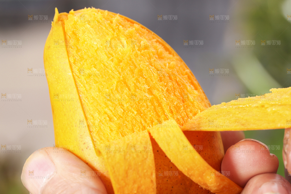 手拿剥皮的海南小台农芒果