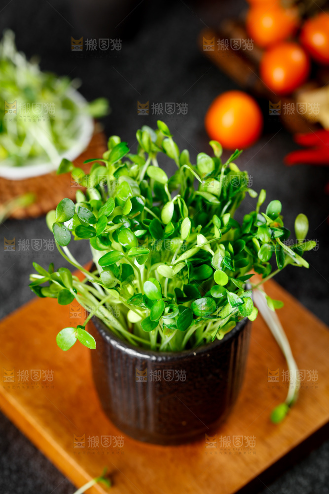 深底上放着一杯香椿芽
