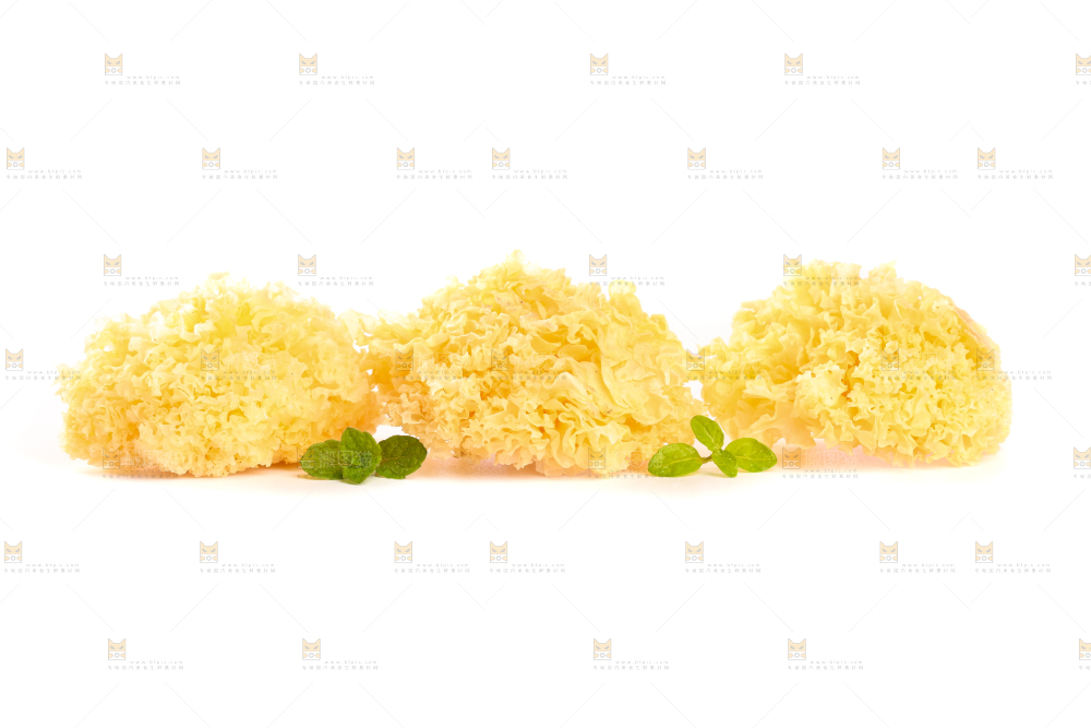 白底上的雪银耳