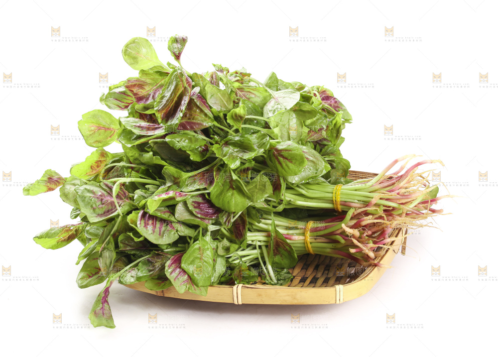 白底上放着一盘新鲜的红苋菜