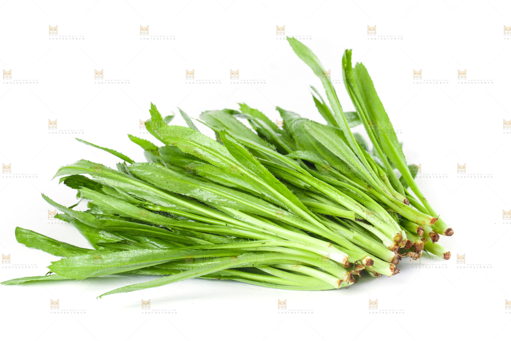 白底上的大香菜
