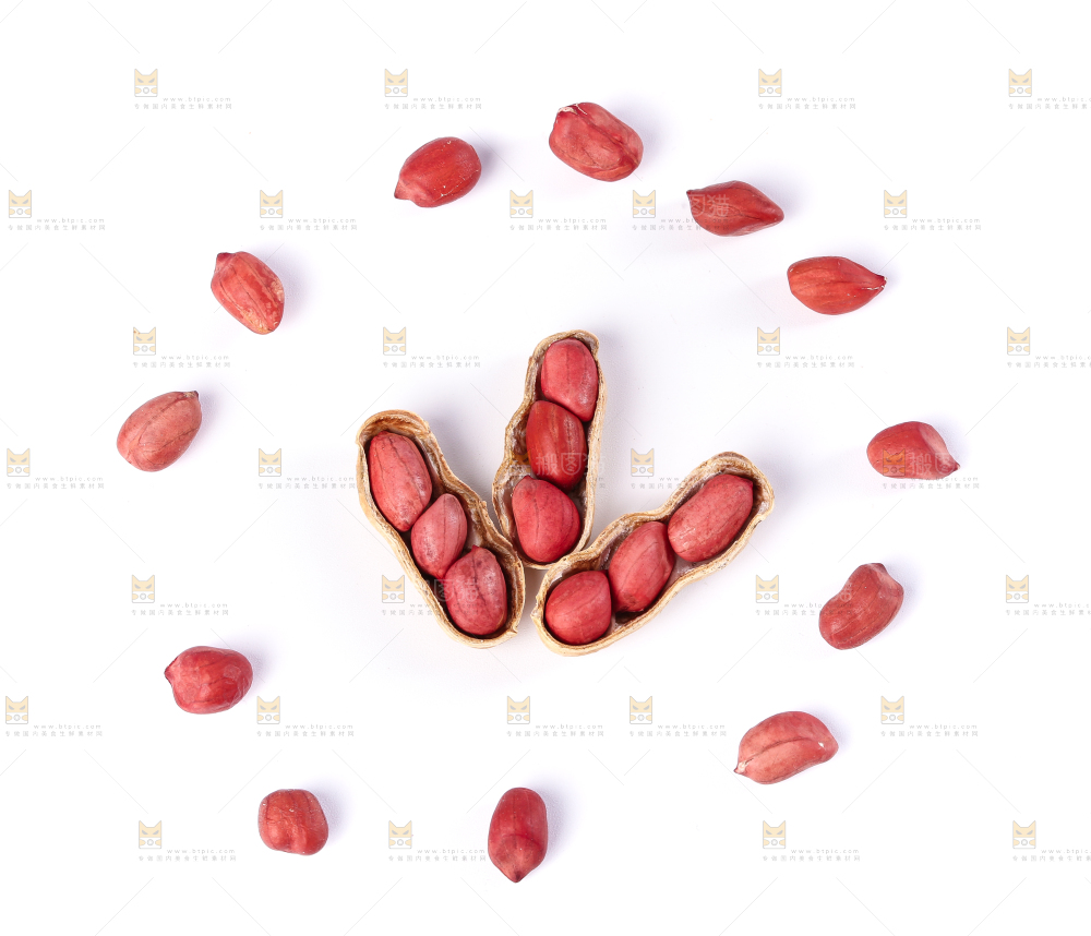 白底上的红衣花生