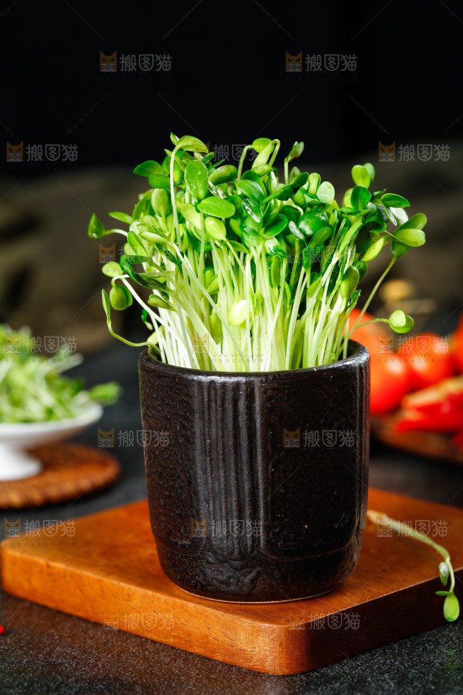 深底上放着一杯香椿芽