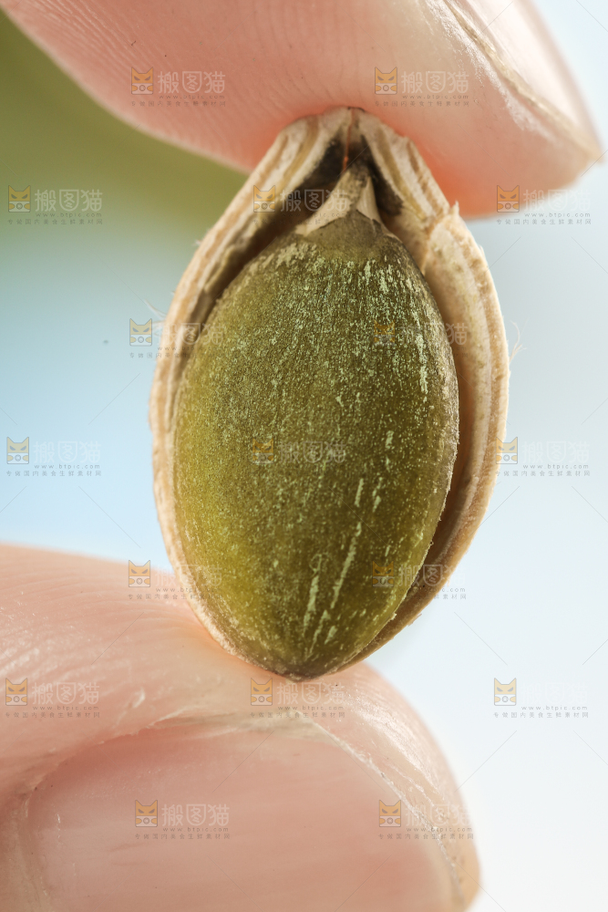 手拿剥皮的南瓜子