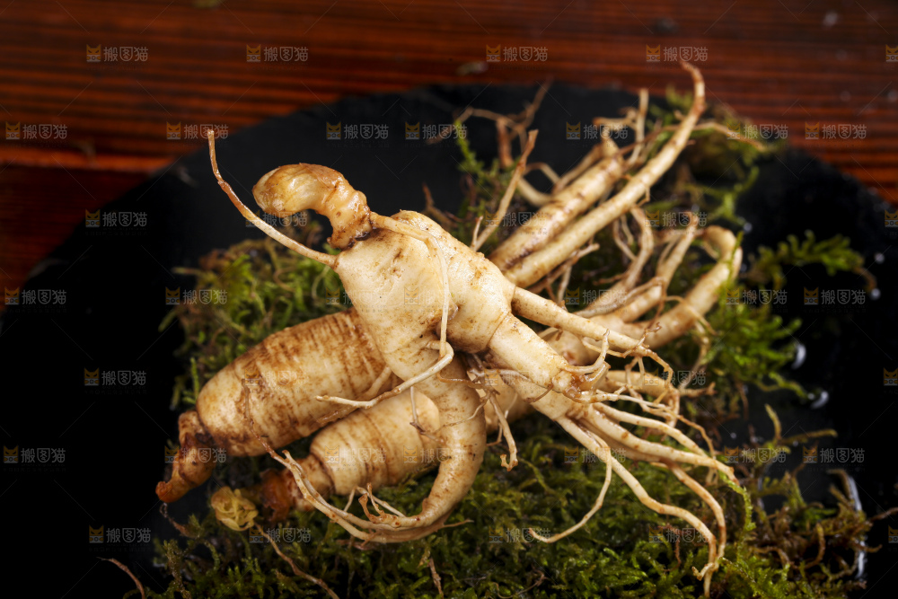 深底上的人参