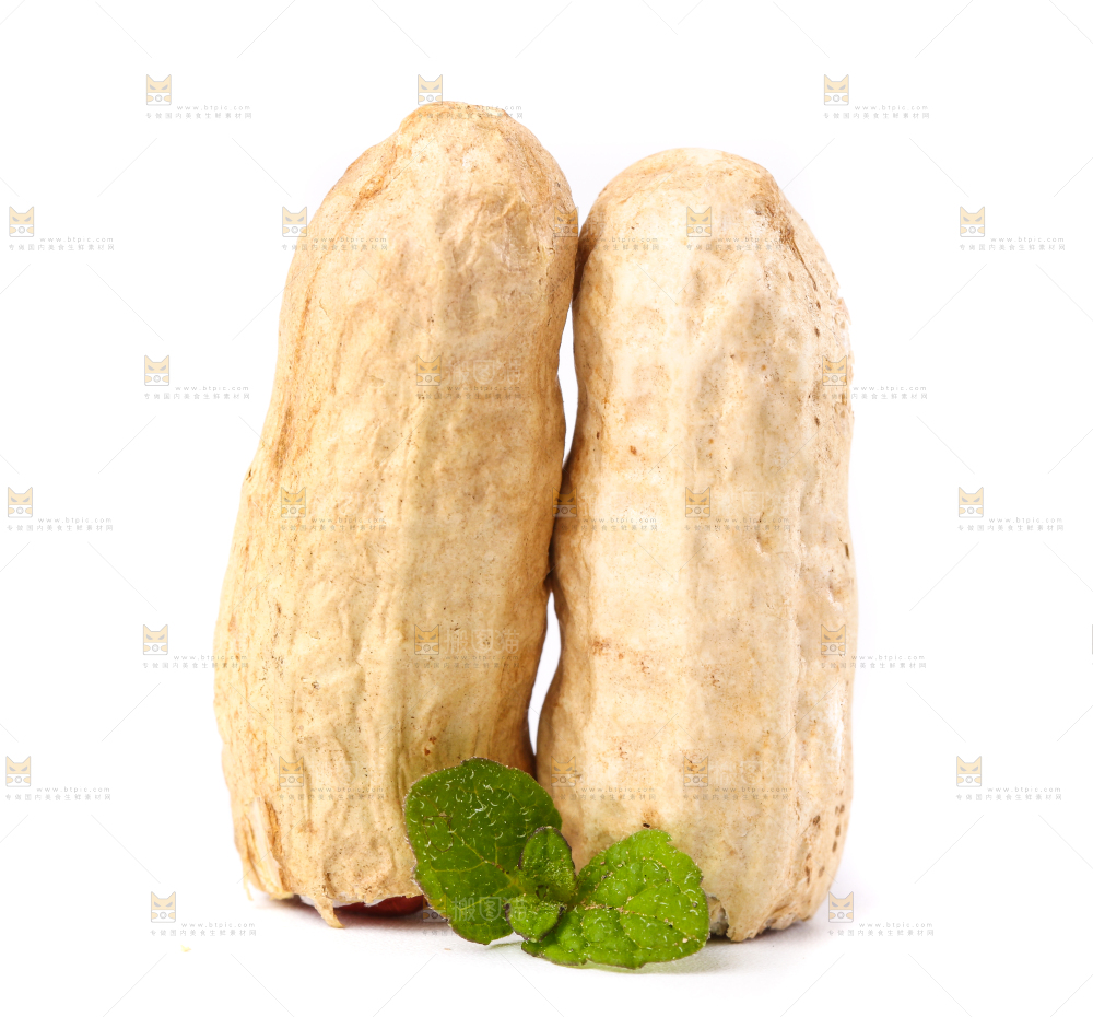 白底上放着东北红皮花生