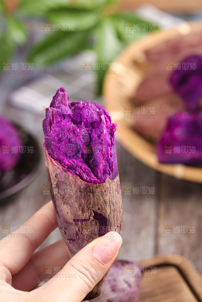 手里拿着紫番薯