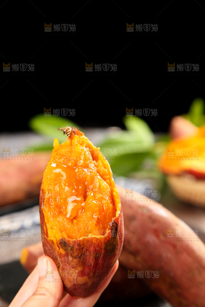 西瓜红蜜薯