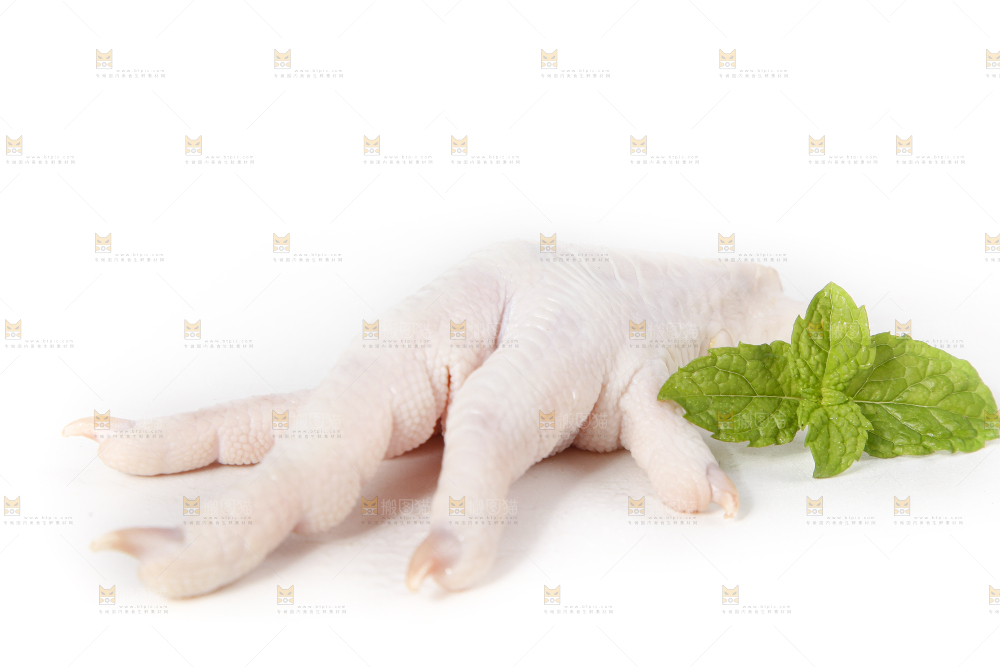 白底上的鸡脚