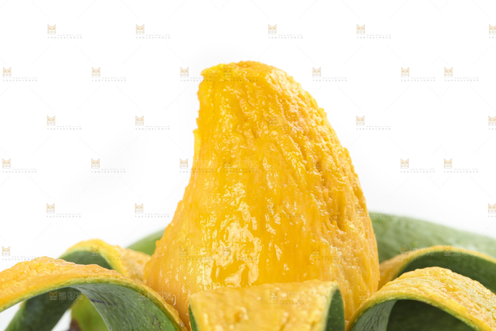 白底上的桂七香芒
