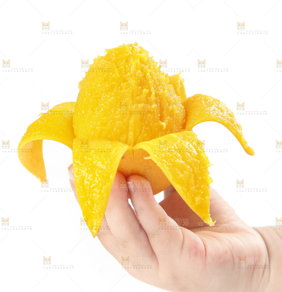 手里拿着小台农芒果肉