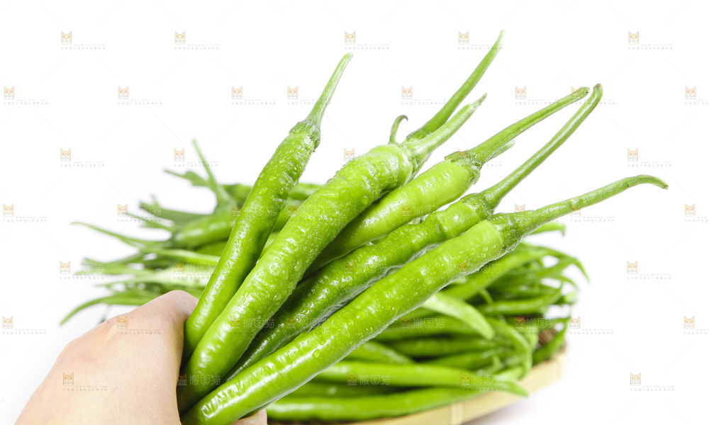 白底上的二荆条辣椒
