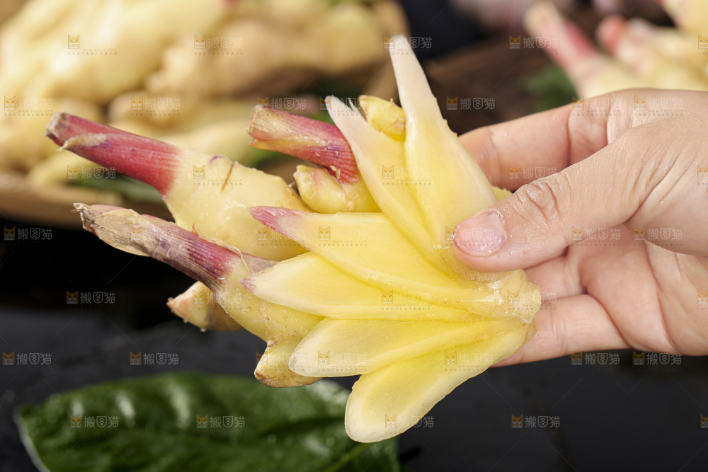 手里拿着红芽姜