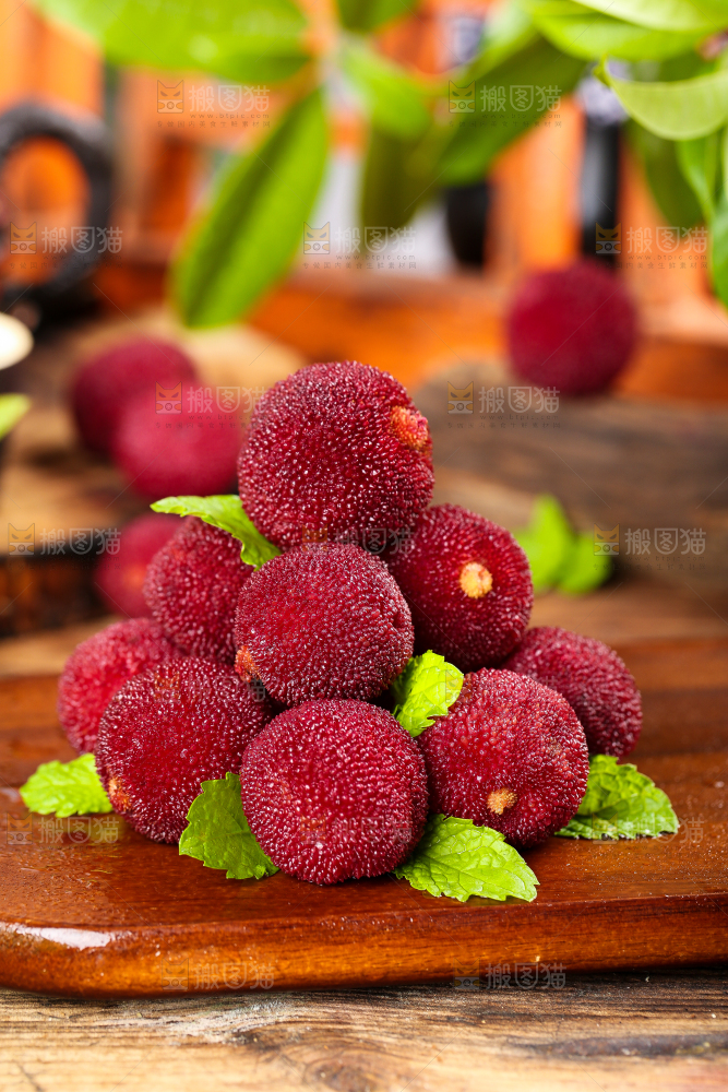 木板上的高山大杨梅