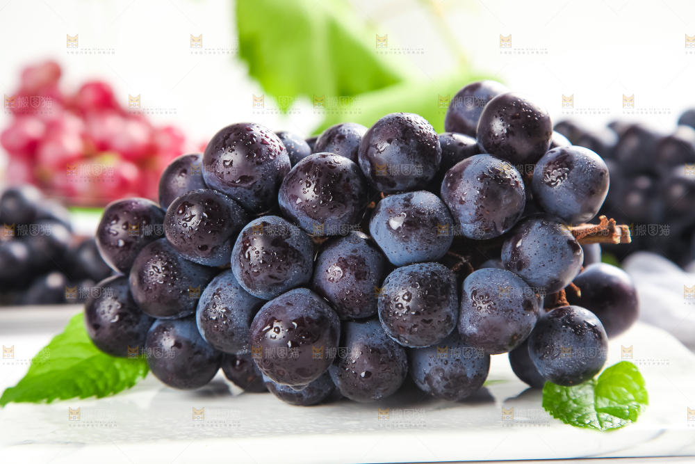 石板上的新鲜葡萄