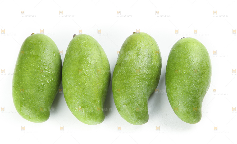 白底上的桂七香芒