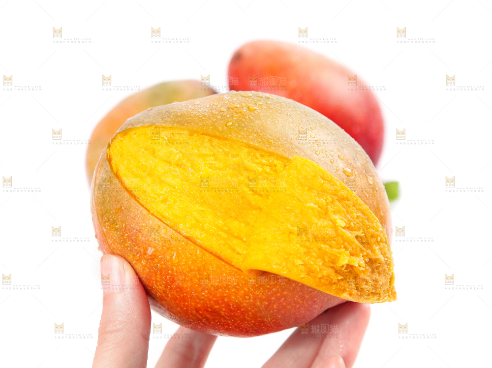 白底上的四川吉禄芒