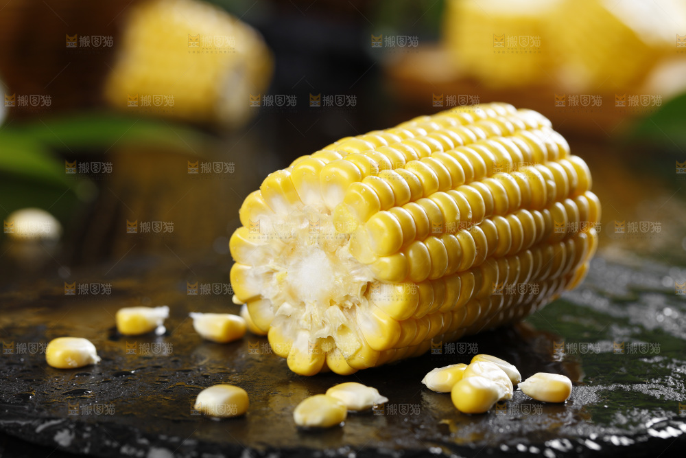 黑石板上的东北玉米