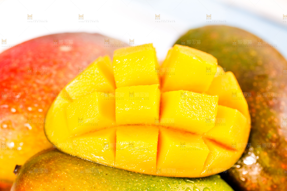 白底上放着吉禄芒