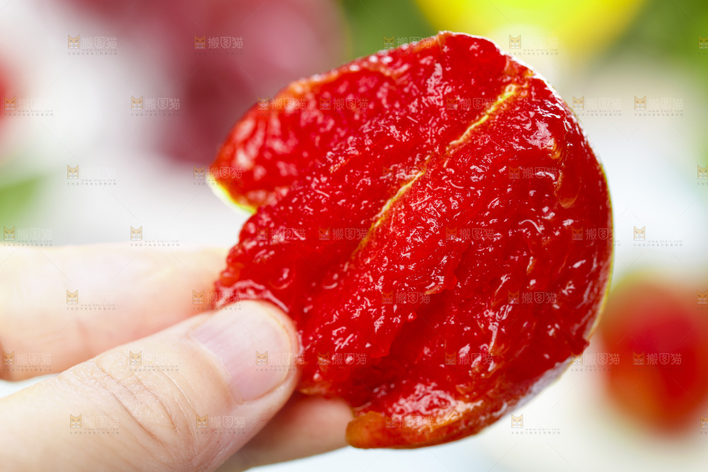 亮底上的芙蓉李