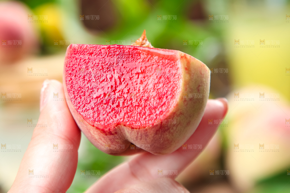 手里拿着毛桃
