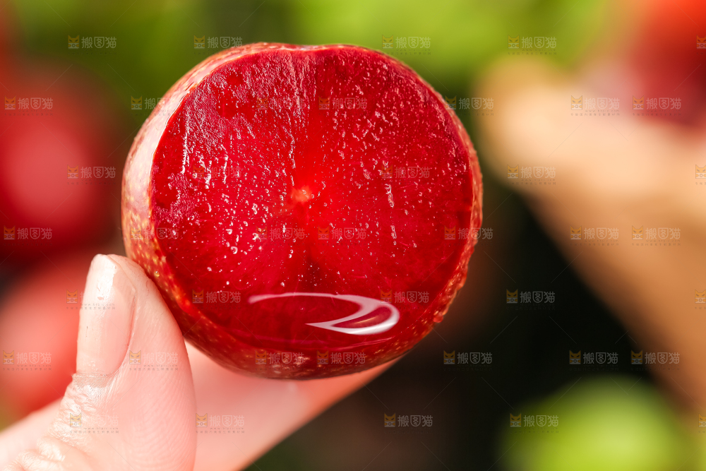 手里拿着红心李
