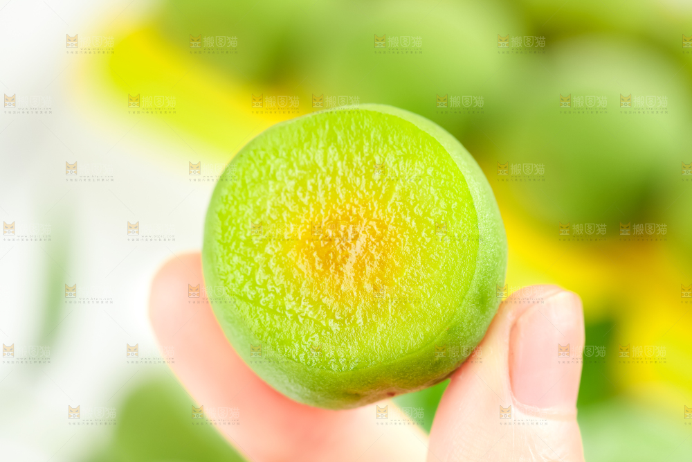 手上拿着新鲜青梅