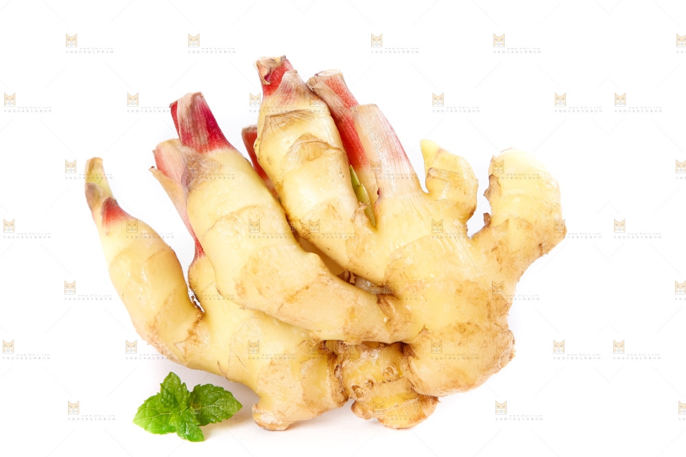 白底上的红芽姜