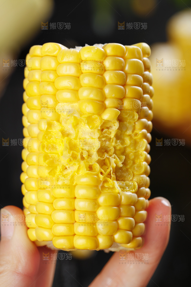 手里拿着新鲜玉米