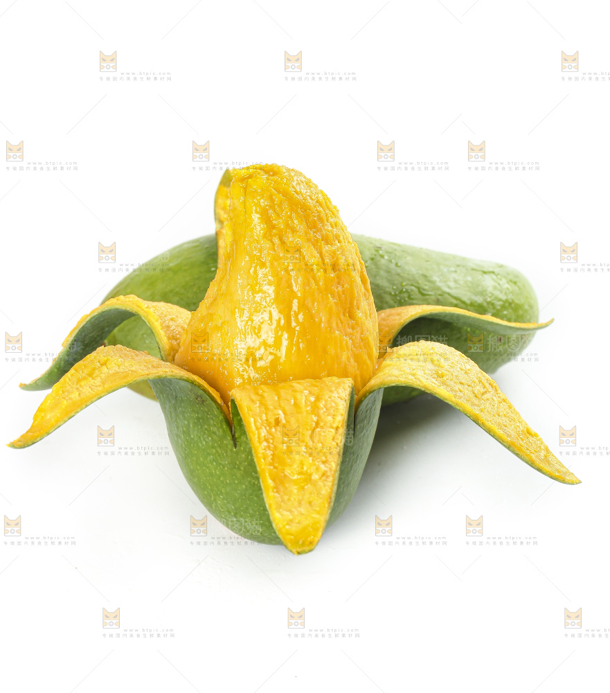 白底上的桂七香芒