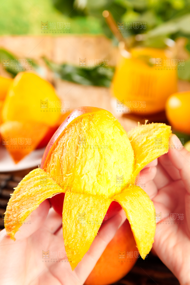 手里拿着吉禄芒果