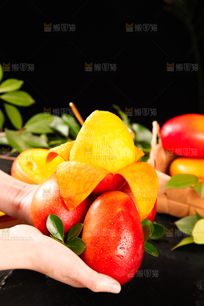 手里拿着吉禄芒果